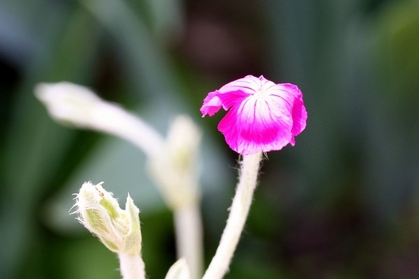 20120527011.jpg