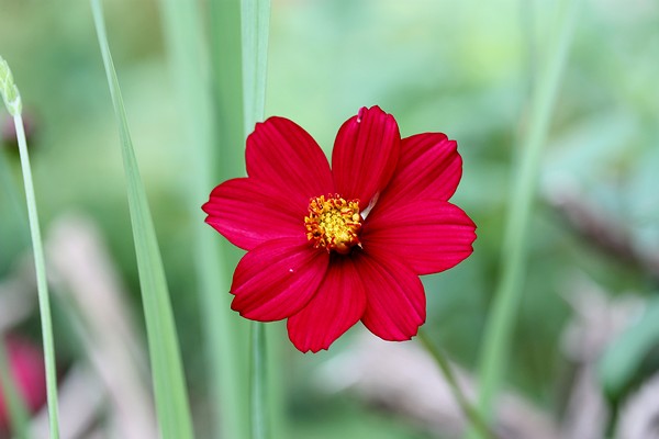 20120624010.jpg