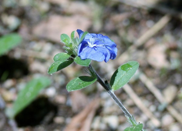 20120701006.jpg