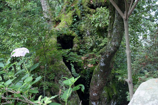 20120704005.jpg