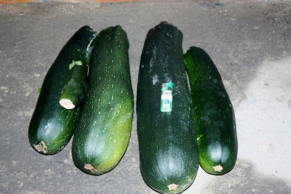 20120708004.jpg
