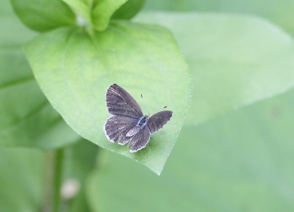 20120708018.jpg
