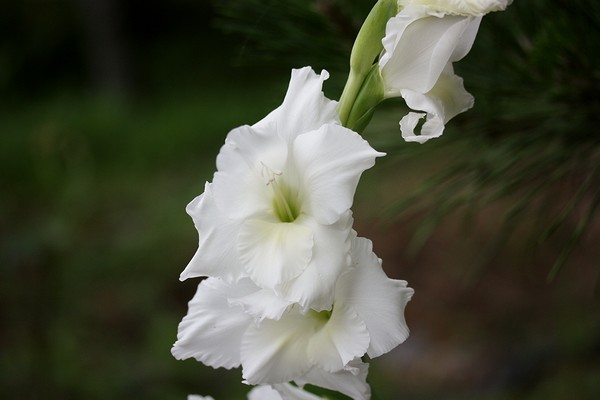 20120708022.jpg