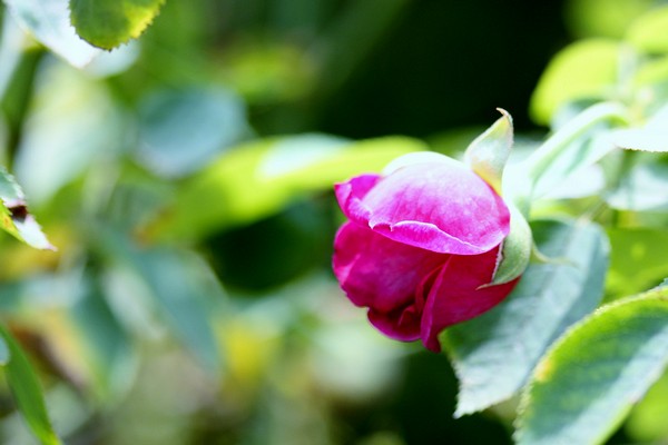 20120812002.jpg