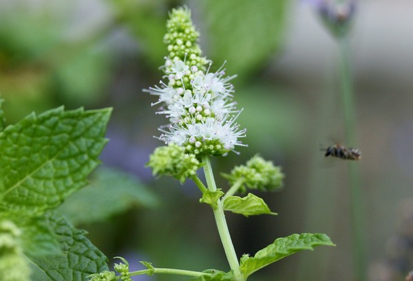 20120812006.jpg