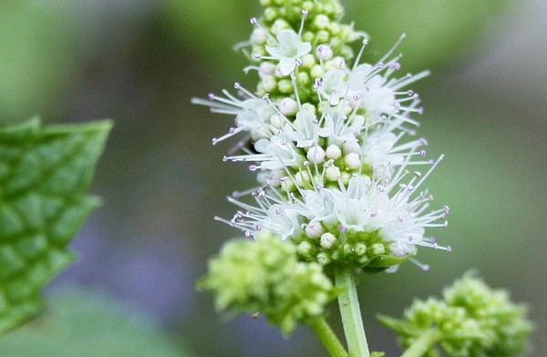 20120812007.jpg