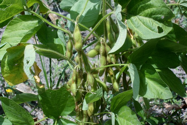 20120816008.jpg