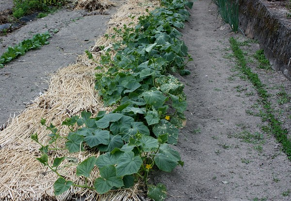 20121014007.jpg