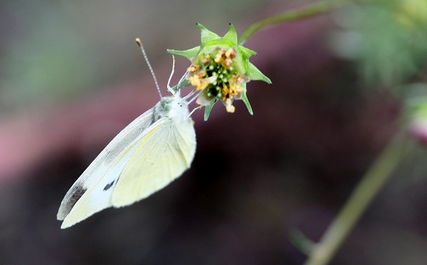 20121014025.jpg
