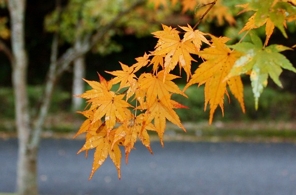 20121031003.jpg