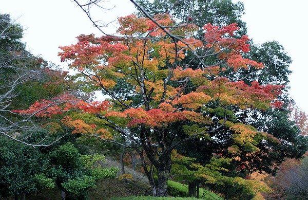 20121031005.jpg