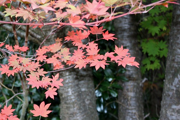 20121031006.jpg