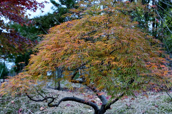 20121031008.jpg