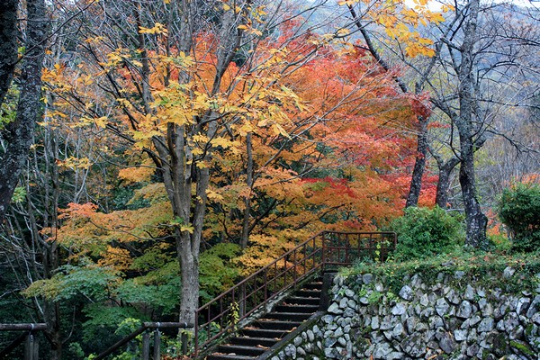 20121107015.jpg