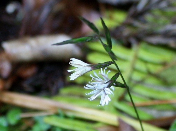 20121107020.jpg