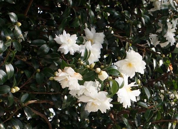 20121120006.jpg