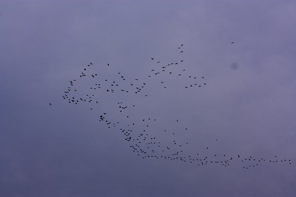 20121218008.jpg