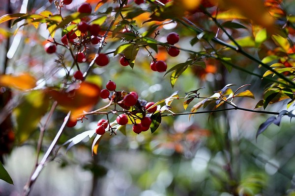 20121228001.jpg