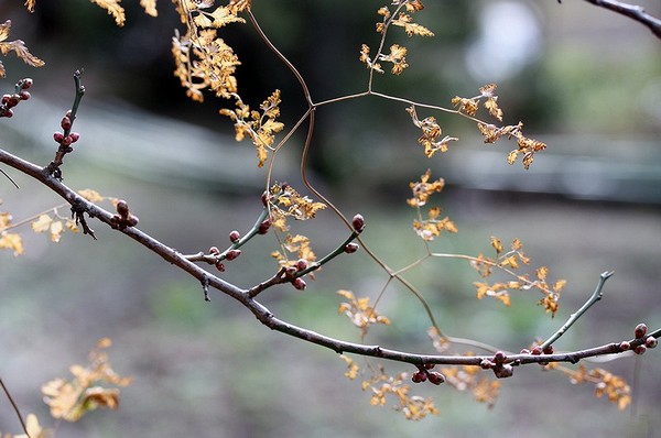 20130114001.jpg