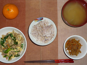 胚芽押麦入り五穀米,玉子とニラともやしのにんにく醤油炒め,キンピラゴボウ,玉ねぎのみそ汁,みかん