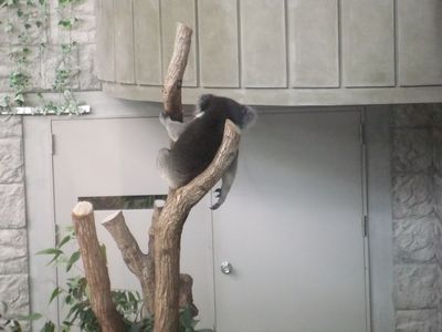 DSCF6753.jpg