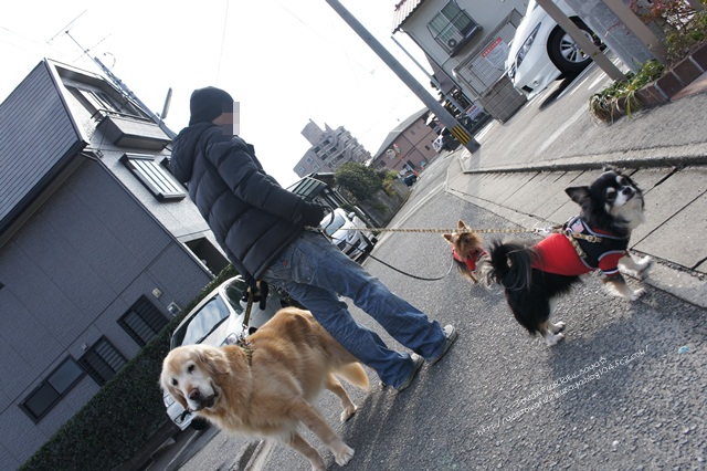 DSC03972-1.jpg