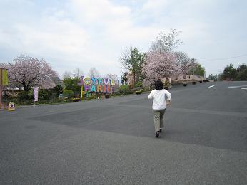 2011-001.jpg