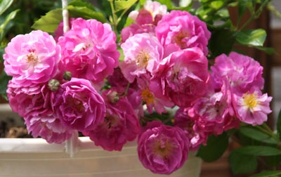 20126g12kokusaibb1.jpg