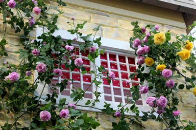 20126g12kokusaibb1a.jpg