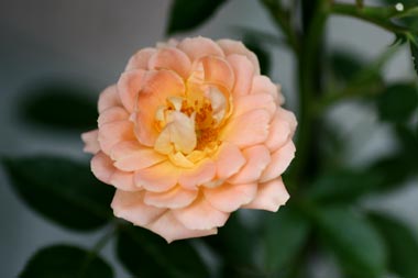 20126g12kokusaibb4.jpg