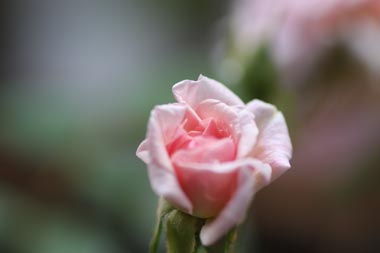 20126g12kokusaibb5.jpg
