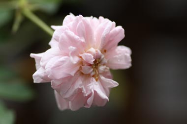 20126g12kokusaibb6.jpg