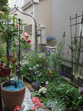 20126g14mimi1.jpg