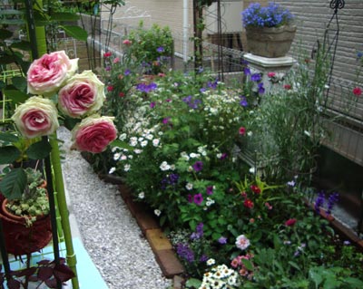 20126g14mimi2.jpg