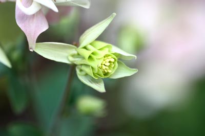 20126g24odamaki1a.jpg