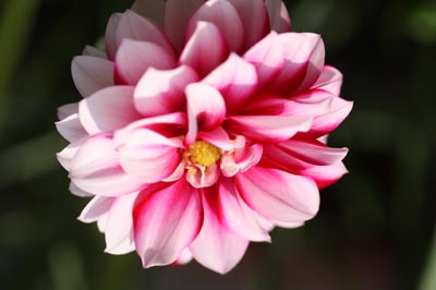 20126g24odamaki6.jpg