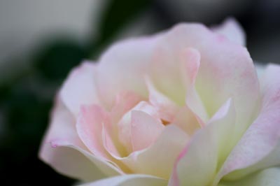 20126g5matiruda2.jpg