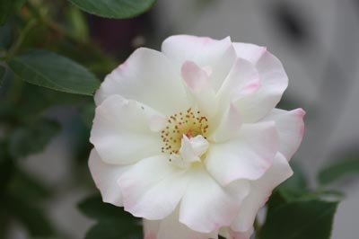 20126g5matiruda3.jpg