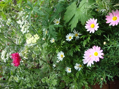 20126g9kaimono1a.jpg