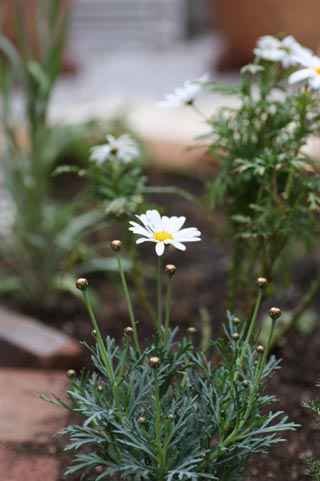 20126gharu2a.jpg