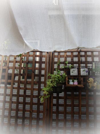 20127g13ultudo4.jpg