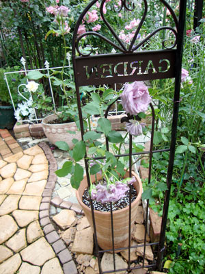 20127g17tanzyou5.jpg
