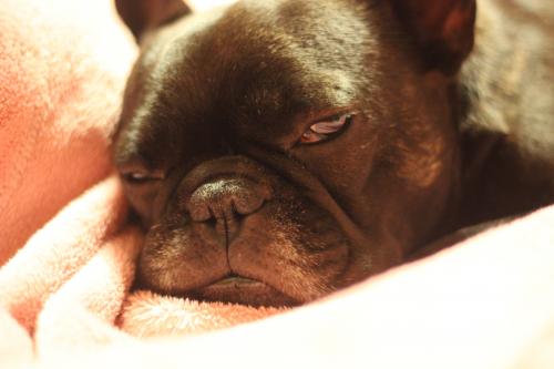 2012_1127_4.jpg