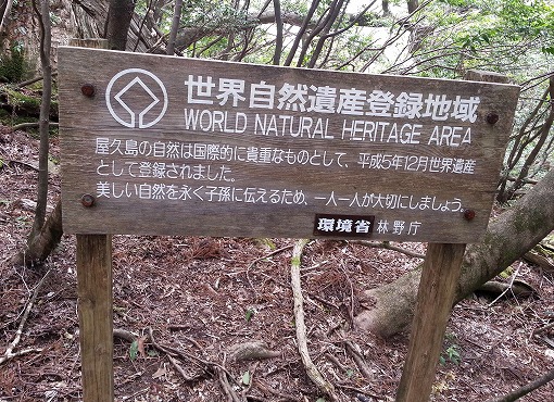 20130410_113451_20130412070107.jpg