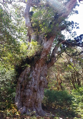 20130410_121813.jpg