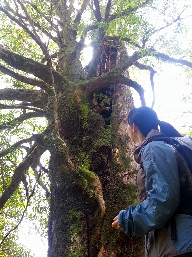20130410_124315.jpg