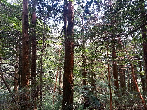 20130410_130633.jpg