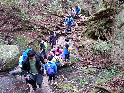 20130430_112637.jpg