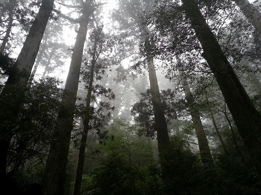20130502_095243.jpg