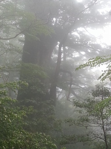 20130502_110415.jpg